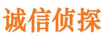 桃山市调查取证